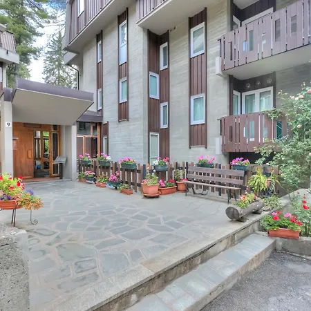 Comfort Tra Fiume E Pini - Happy