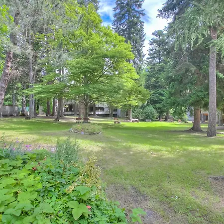 Comfort Tra Fiume E Pini - Happy * Bardonecchia