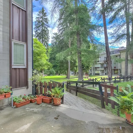 Comfort Tra Fiume E Pini - Happy