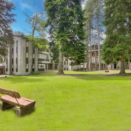 Comfort Tra Fiume E Pini - Happy Бардонеккия