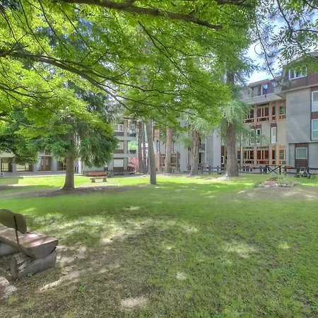 Comfort Tra Fiume E Pini - Happy Apartament