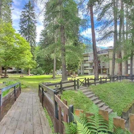 Apartament Comfort Tra Fiume E Pini - Happy Bardonecchia
