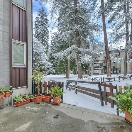 Comfort Tra Fiume E Pini - Happy