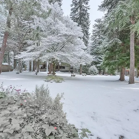 Apartament Comfort Tra Fiume E Pini - Happy