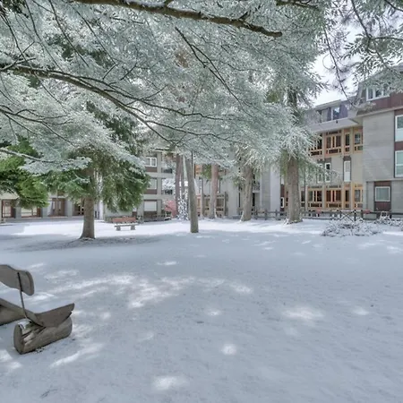 Comfort Tra Fiume E Pini - Happy