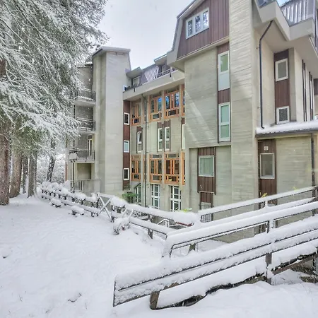 Comfort Tra Fiume E Pini - Happy *