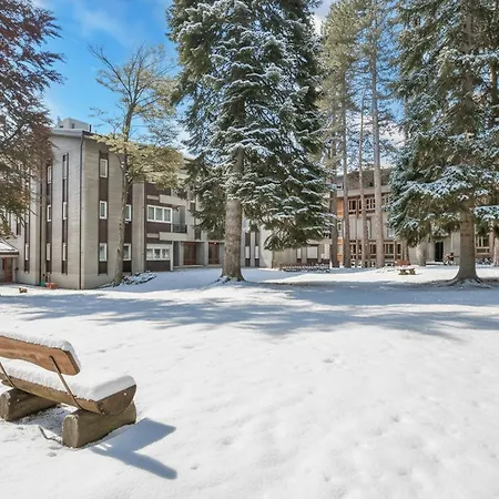 Comfort Tra Fiume E Pini - Happy