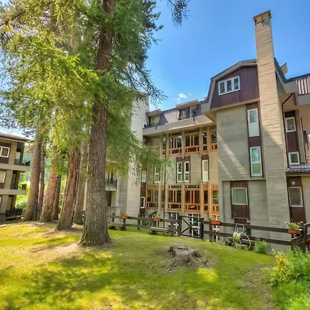 Comfort Tra Fiume E Pini With Shared Garden And Balcony - Happy 아파트