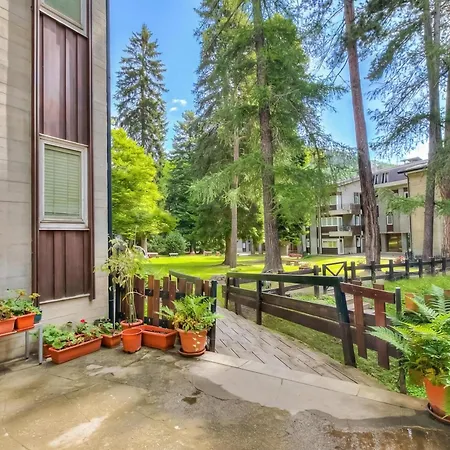 Apartman Comfort Tra Fiume E Pini - Happy