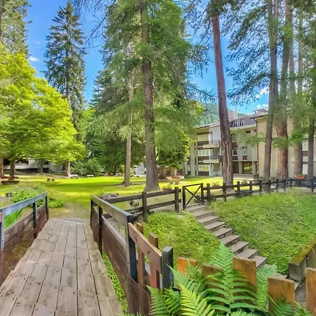 Comfort Tra Fiume E Pini - Happy Apartman