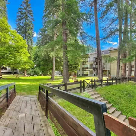 Apartman Comfort Tra Fiume E Pini - Happy